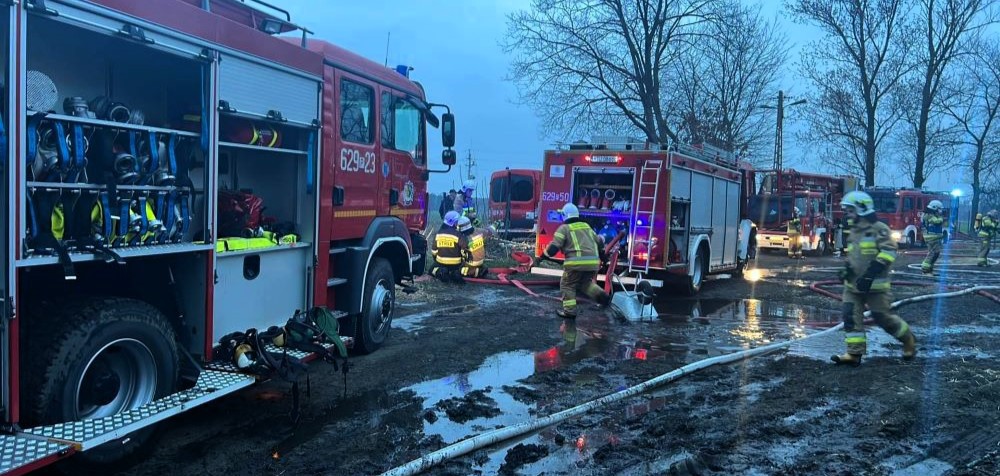 Władysławów: Pożar budynku inwentarskiego w Chylinie. Spłonęły pisklęta
